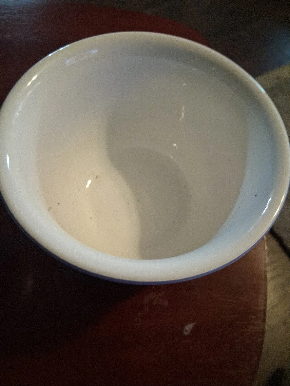TOURNESOL All Purpose Bowl 5 7/8